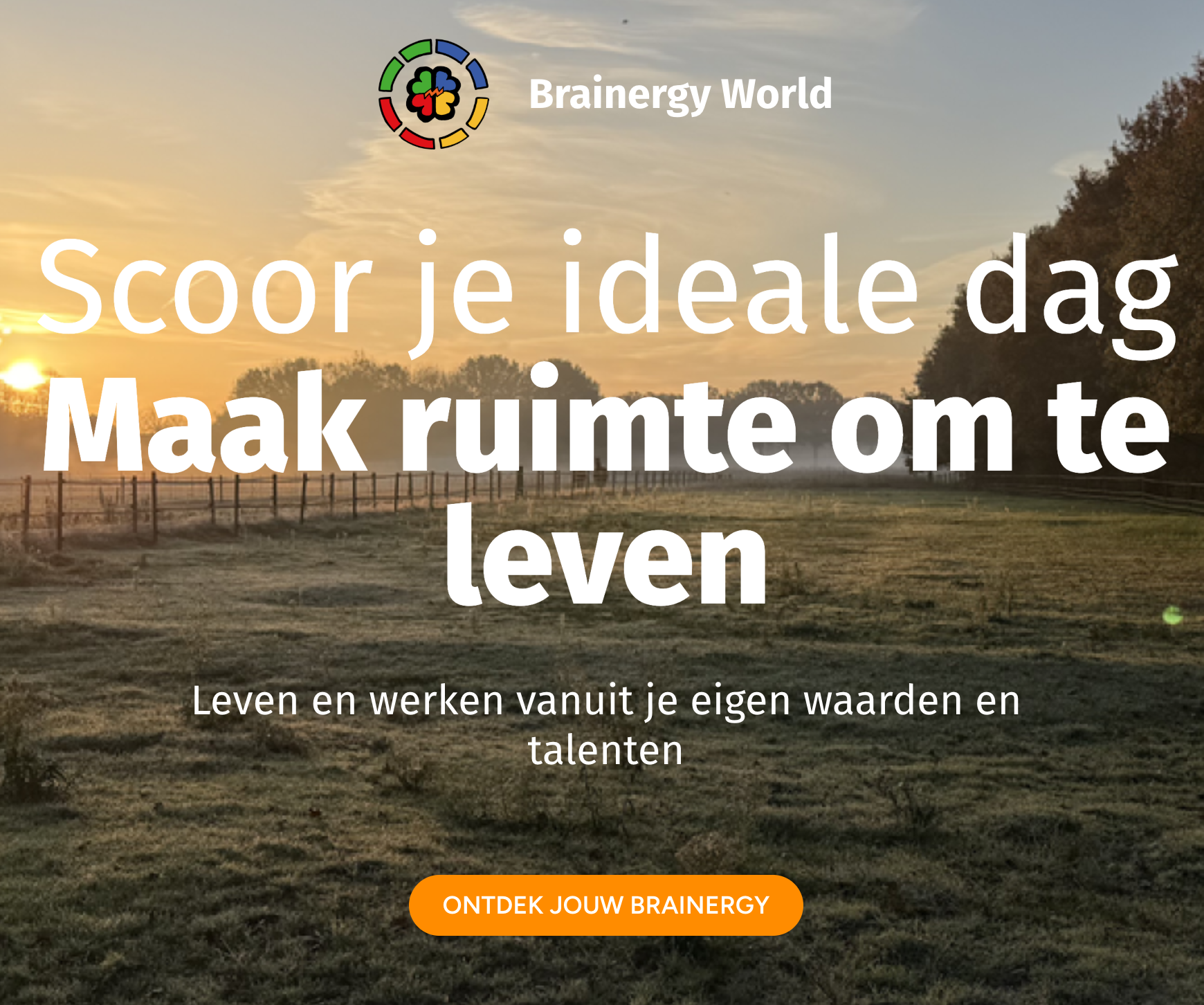 brainergy world